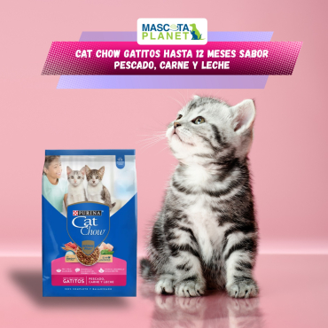 WhatsApp Image 2025-07-24 at 16.21.18