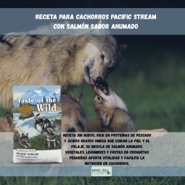 WhatsApp Image 2025-07-24 at 17.18.42