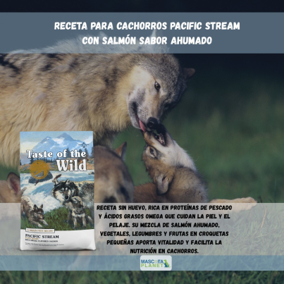 WhatsApp Image 2025-07-24 at 17.18.42