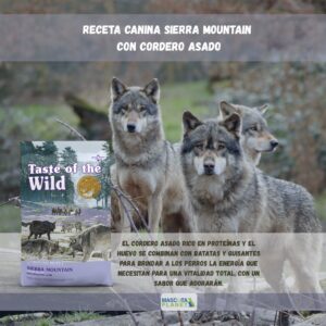 Taste of The Wild Sierra Mountain