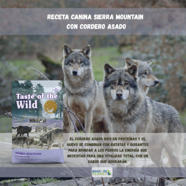 WhatsApp Image 2025-07-24 at 17.34.56