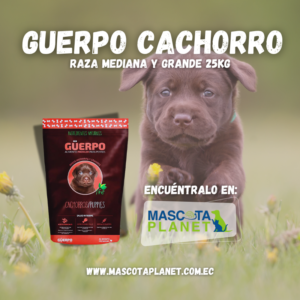 Guerpo Cachorro Medianos y Grandes