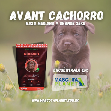 WhatsApp Image 2025-09-07 at 15.45.17