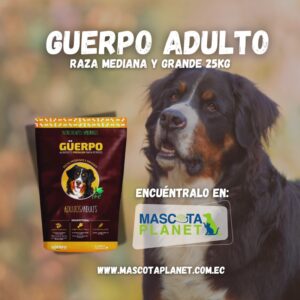 Guerpo Adulto Medianos y Grandes