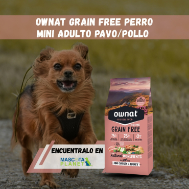 WhatsApp Image 2025-09-12 at 17.32.15 (1)