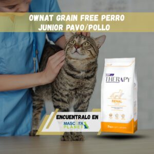 THERAPY RENAL CARE FELINO