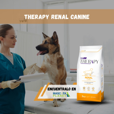 WhatsApp Image 2026-02-19 at 15.55.40