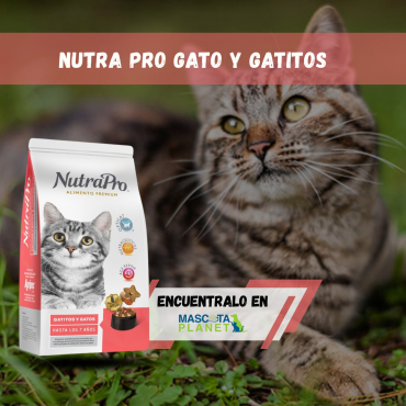 WhatsApp Image 2026-02-19 at 17.13.48