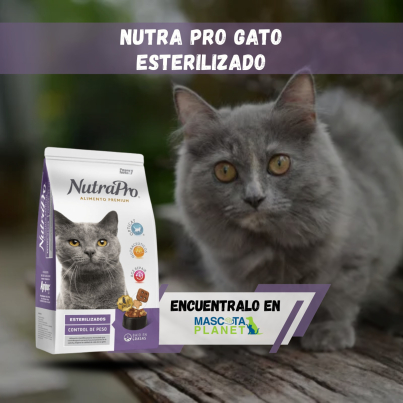 WhatsApp Image 2026-02-19 at 17.13.58