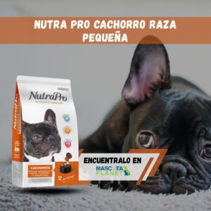 Nutra Pro Cachorro minis y pequeños