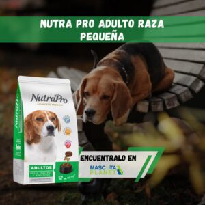 Nutra Pro Adulto minis y pequeños
