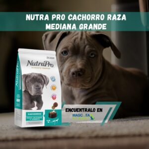 Nutra Pro Cachorro Medianos y Grandes