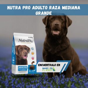 Nutra Pro Adulto Medianos y Grandes