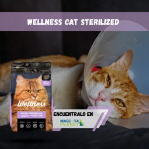 Wellness Gatos Esterilizados