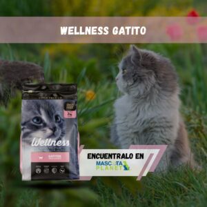Wellness gatitos