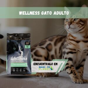Wellness Gato adulto de Salmon