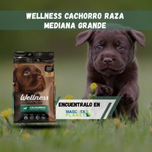 Wellness Cachorro Raza Mediana y Grande
