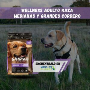 Wellness Cordero Adultos