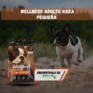 Wellness Adulto Raza Mini y Pequeña