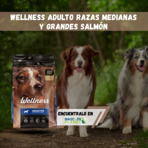 WELLNESS ADULTOS RAZAS MEDIANAS Y GRANDES DE SALMÓN