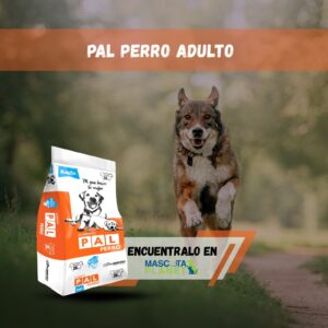 PAL PERRO ADULTO