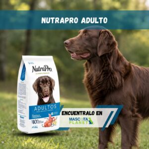 Nutra Pro Adulto Medianos y Grandes