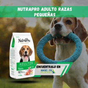 Nutra Pro Adulto minis y pequeños