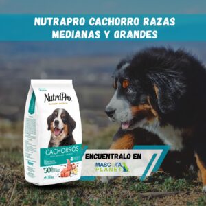 Nutra Pro Cachorro Medianos y Grandes