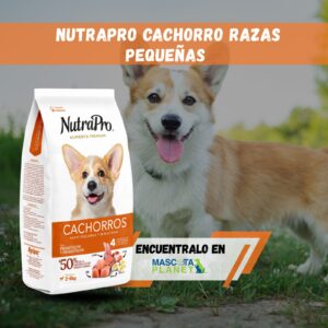 Nutra Pro Cachorro minis y pequeños