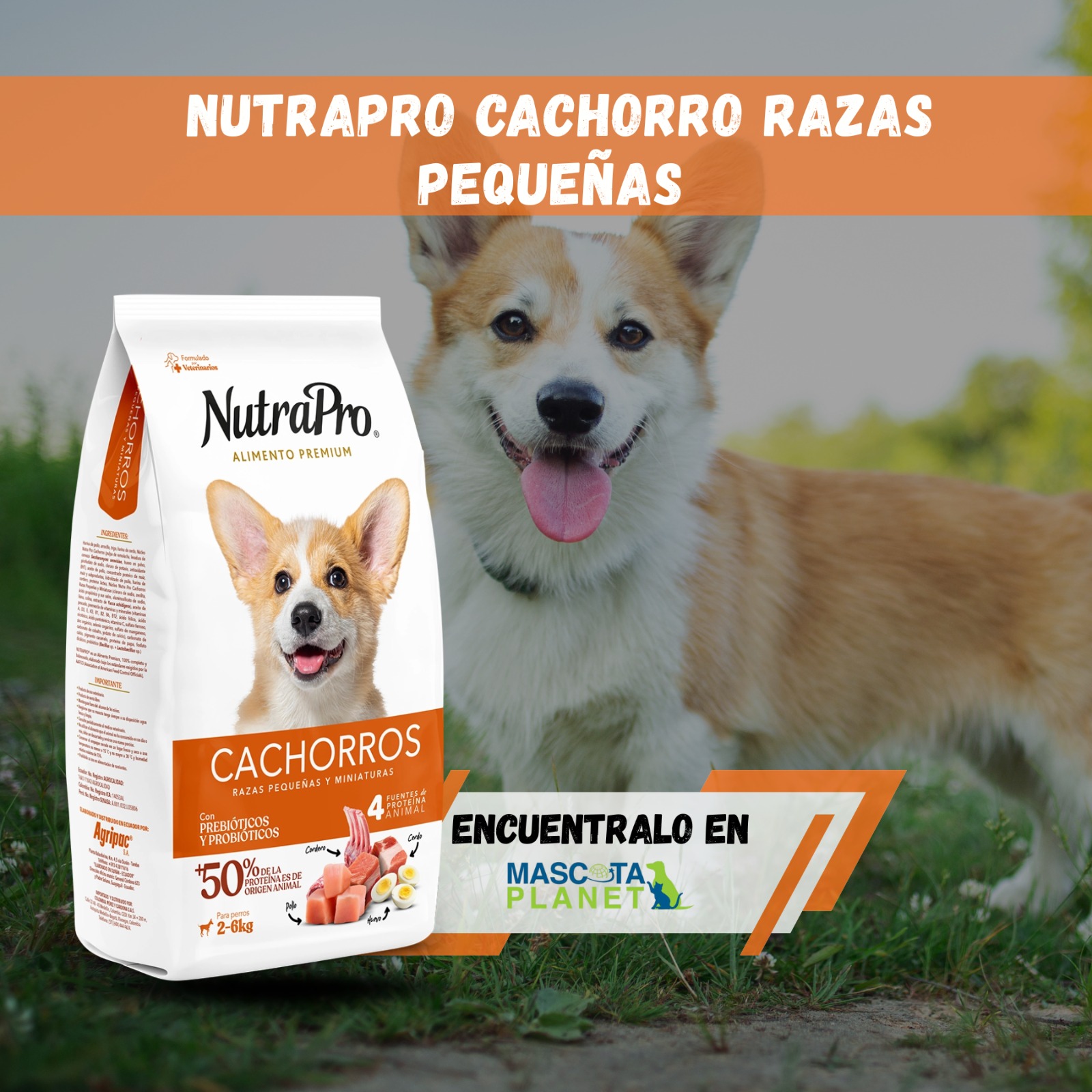 Nutra Pro Cachorro minis y pequeños