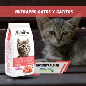Nutra Pro Gatos y Gatitos