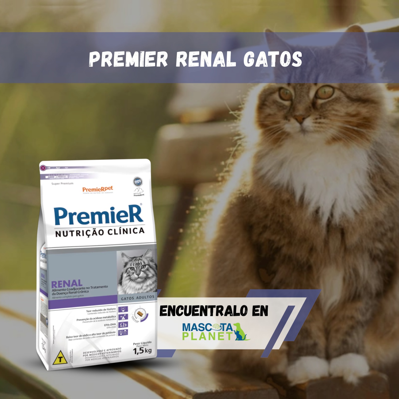 PREMIER RENAL FELINO NUTRICION CLINICA
