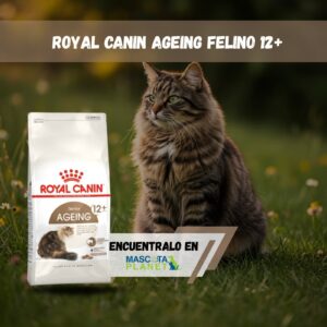 ROYAL CANIN AGEING 12+ FELINO