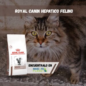 ROYAL CANIN HEPATICO  INDEX FELINO