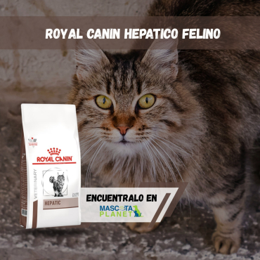 WhatsApp Image 2026-03-04 at 14.55.47