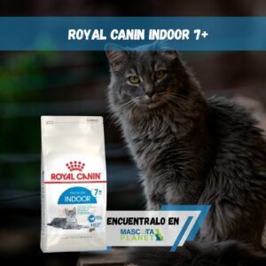 ROYAL CANIN INDOOR 7+ FELINO
