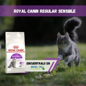ROYAL CANIN REGULAR SENSIBLE