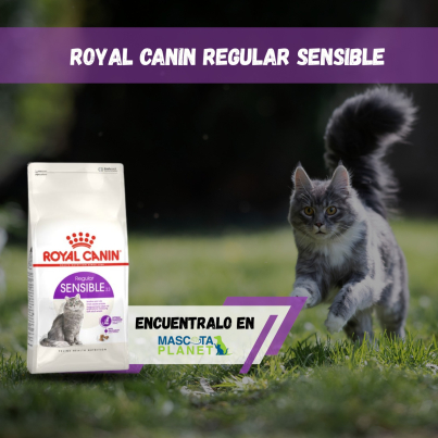 WhatsApp Image 2026-03-04 at 15.00.45