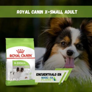 ROYAL CANIN X-SMALL ADULTO