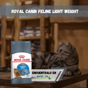 ROYAL CANIN LIGHT WEIGHT CARE FELINO (control peso)