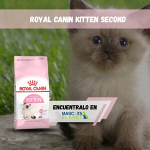 ROYAL CANIN KITTEN