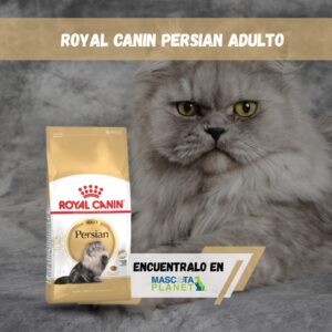 ROYAL CANIN PERSIAN ADULT