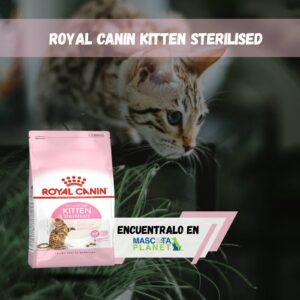 ROYAL CANIN KITTEN STERILISED