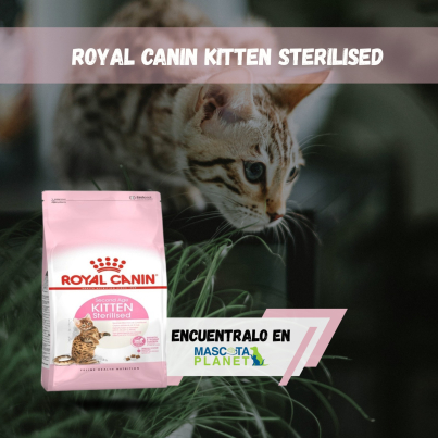 WhatsApp Image 2026-03-04 at 16.45.06