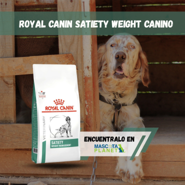 WhatsApp Image 2026-03-13 at 14.41.36