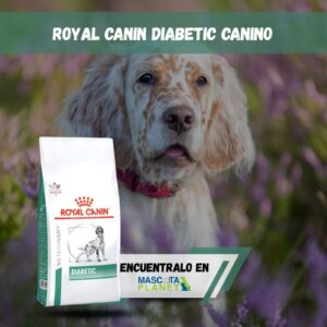 ROYAL CANIN DIABETIC CANINO