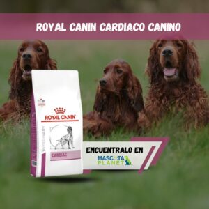 ROYAL CANIN CARDIAC CANINO