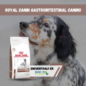 ROYAL CANIN GASTROINTESTINAL CANINO