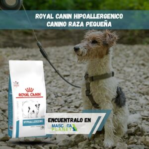 ROYAL CANIN HYPOALLERGENIC SMALL DOG