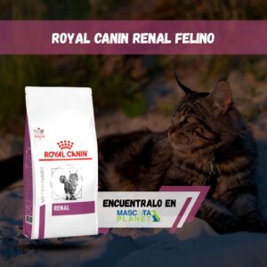 ROYAL CANIN RENAL FELINO